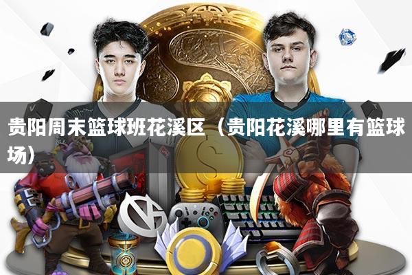 贵阳周末篮球班花溪区(贵阳花溪哪里有篮球场)