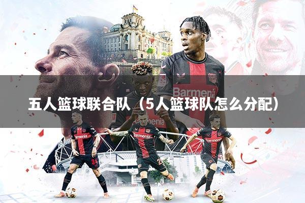 五人篮球联合队（5人篮球队怎么分配）