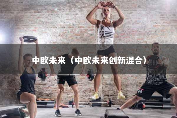 中欧未来（中欧未来创新混合）