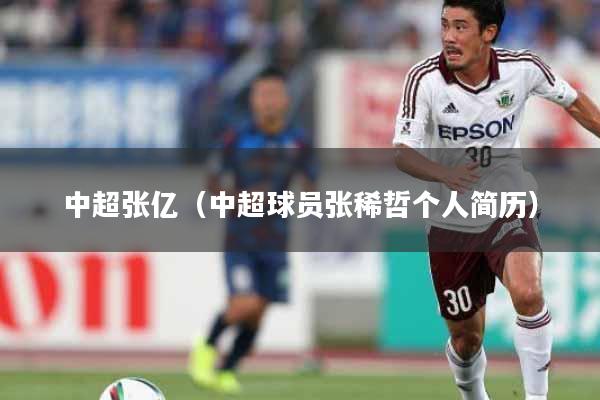 中超张亿（中超球员张稀哲个人简历）